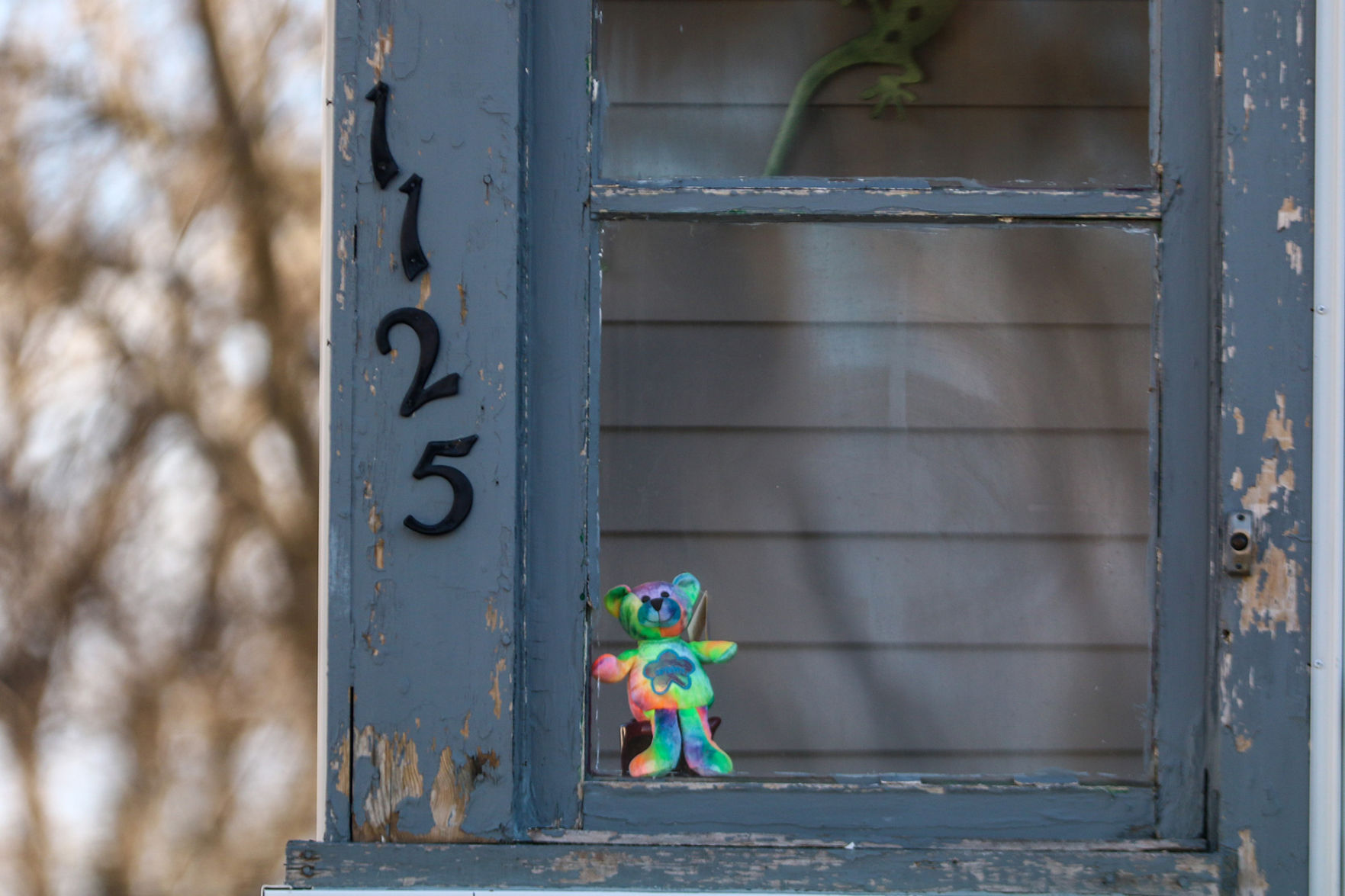 PHOTOS: Bear Hunt